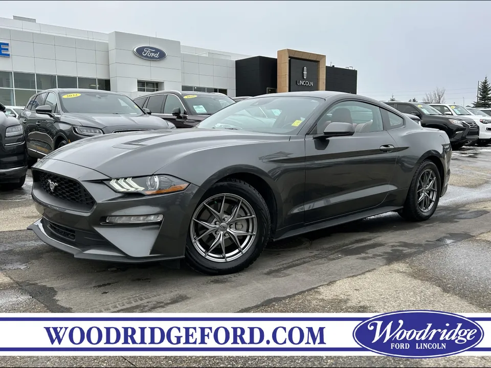 2019 Ford Mustang EcoBoost ***PRICE REDUCED*** 2.3L, NAVIGATI...