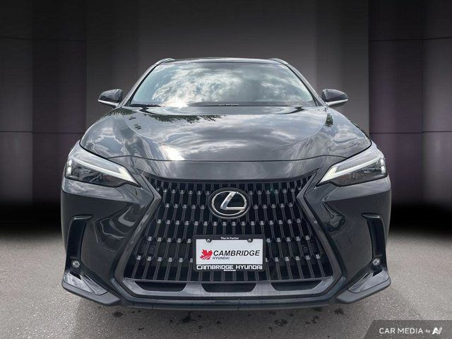 2022 Lexus NX NX 350h in Cars & Trucks in Cambridge - Image 2