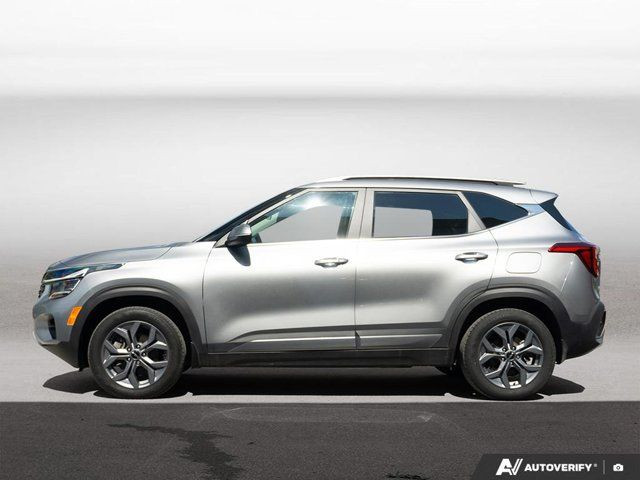 2024 Kia Seltos EX in Cars & Trucks in Hamilton - Image 2