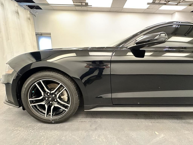 2019 Ford Mustang 6 Speed Manual - B&O Sound - Premium Pkg -... in Cars & Trucks in Lethbridge - Image 2