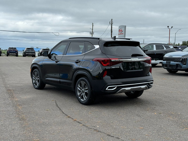 2023 Kia Seltos in Cars & Trucks in Kawartha Lakes - Image 2