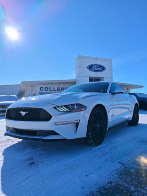 2019 Ford Mustang Ecoboost