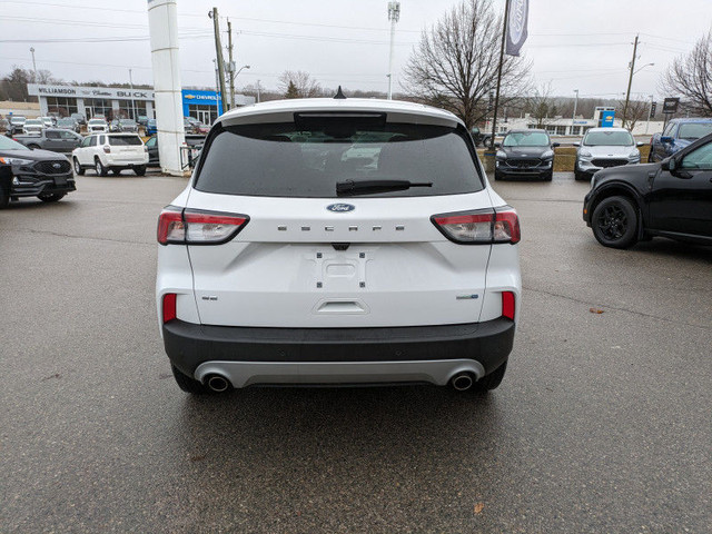 2020 Ford Escape SE 4WD - SYNC3/Nav/Tech Features and more!!!! in Cars & Trucks in Kawartha Lakes - Image 4