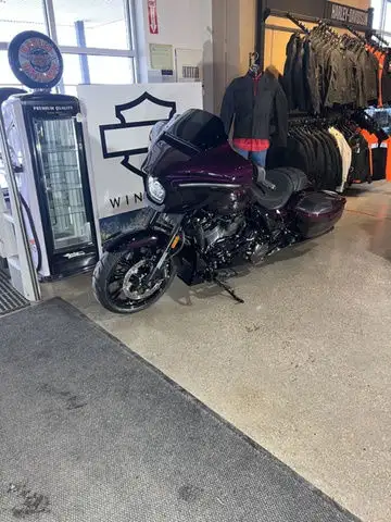 2025 Harley-Davidson FLHXSE - CVO Street Glide in Sport Touring in Winnipeg - Image 6