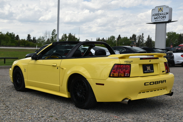2001 Ford Mustang ***RAG TOP, MANUAL, EXHAUST*** in Cars & Trucks in Calgary - Image 3