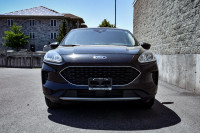 Heated Seats, Aluminum Wheels, Android Auto, Apple CarPlay, Ford Co-Pilot360! 6 LOCATIONS KINGSTON -... (image 3)