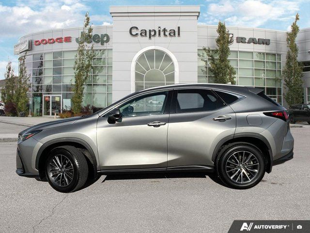 2024 Lexus NX NX 350 | One Owner | Sunroof | Heated Seats in Cars & Trucks in Edmonton - Image 2