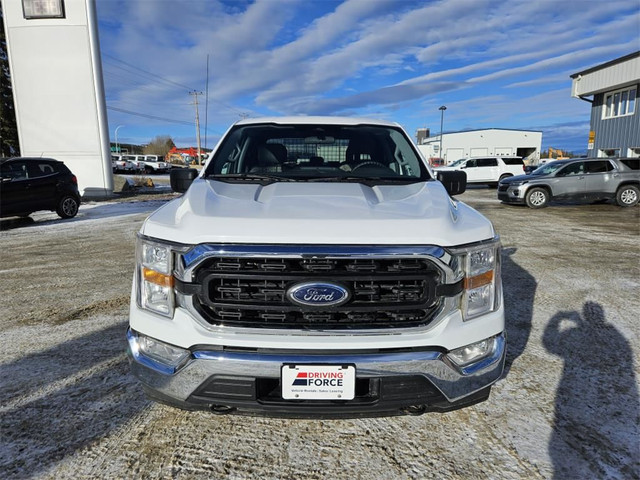  2021 Ford F-150 XLT in Cars & Trucks in Whitehorse - Image 2