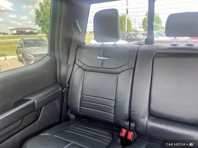 2025 Ford Super Duty F-350 SRW Platinum in Cars & Trucks in Brandon - Image 13