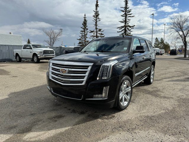  2019 Cadillac Escalade PLAT in Cars & Trucks in Calgary - Image 2