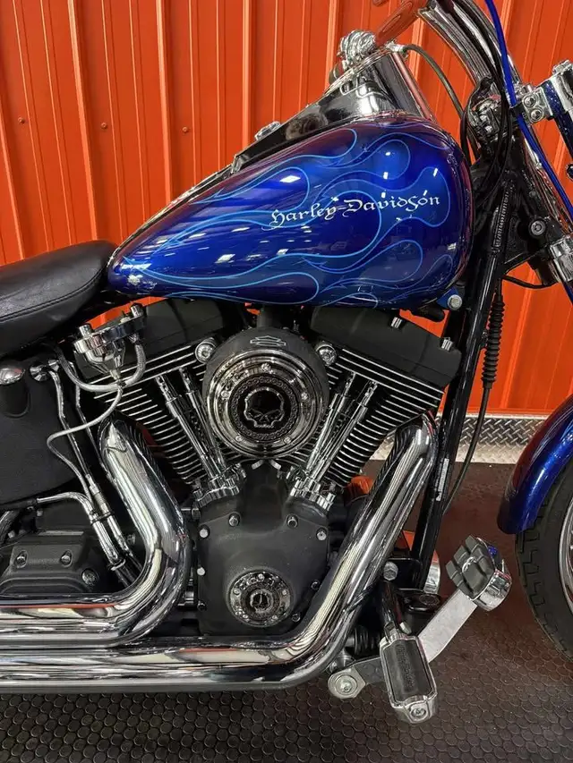 2005 Harley-Davidson Softail Night Train in Street, Cruisers & Choppers in Moncton - Image 4