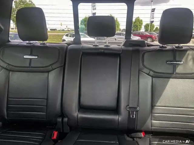 2025 Ford Super Duty F-250 SRW Platinum dans Autos et camions dans Brandon - Image 14