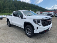 Sierra 1500 4WD Crew Cab 157" AT4, 18" Aluminum Wheels, 6.2L V8 Gasoline Engine, 10-Speed Automatic... (image 7)