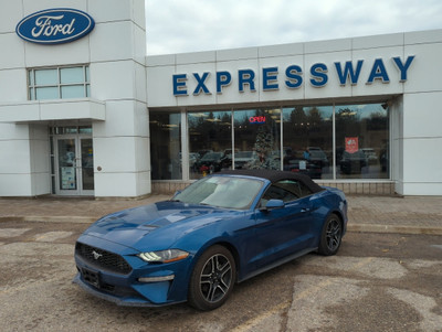  2023 Ford Mustang EcoBoost CONVERTIBLE, 310HP, 10-SPEED AUTO, F