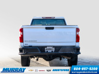 Trailer Package | WT Fleet convenience Package | Remote keyless entry | Chevrolet Infotainment 3 wit... (image 5)