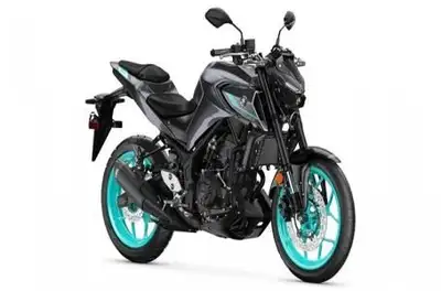 Engine Type: In-Line Displacement: 19.6 cu. in. (321 cc) Bore and Stroke: Bore: 2.68 in. (68 mm); St...