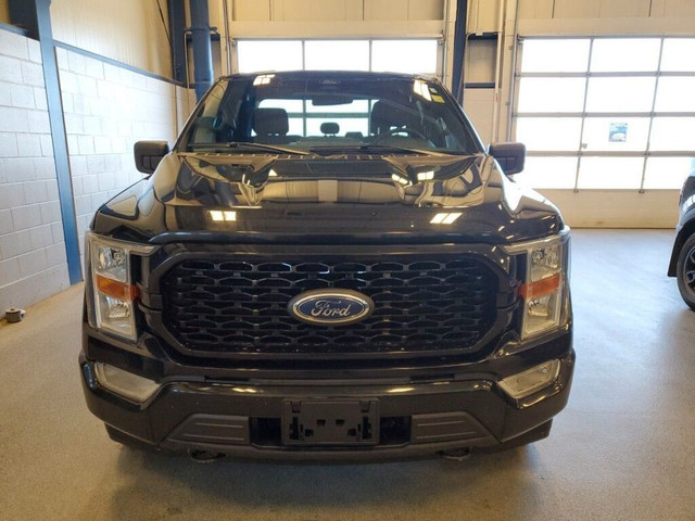  2021 Ford F-150 STX PACKAGE in Cars & Trucks in Moose Jaw - Image 2