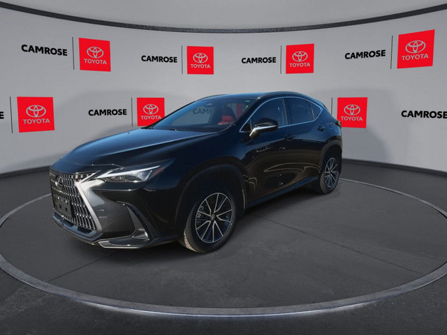 2024 Lexus NX 350 in Cars & Trucks in Edmonton - Image 4