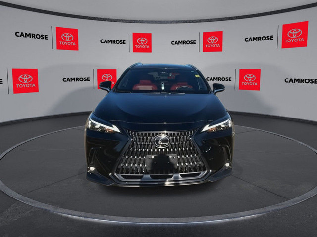 2024 Lexus NX 350 in Cars & Trucks in Edmonton - Image 3