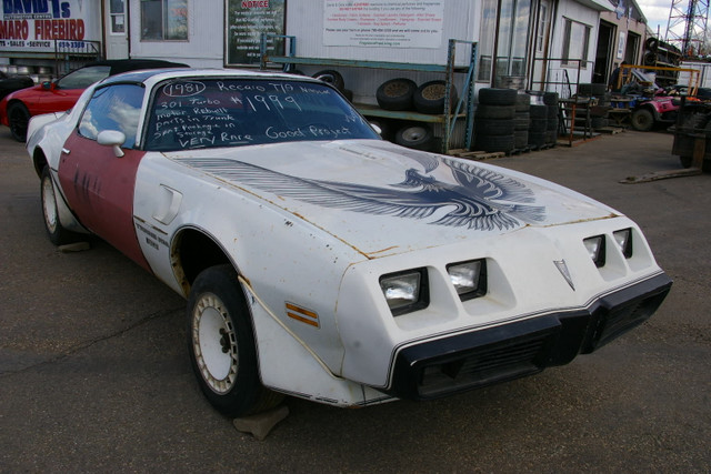 1981 Trans Am Recaro Special Edition NASCAR Turbo 301 T-Top in Cars & Trucks in Edmonton - Image 3