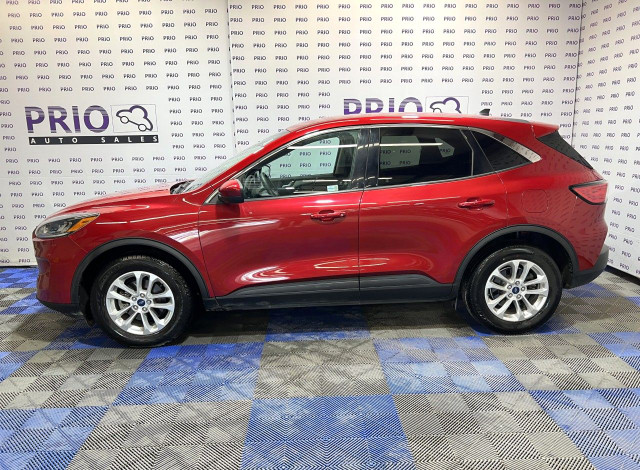 2020 Ford Escape in Cars & Trucks in Ottawa - Image 2