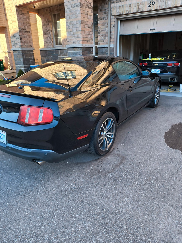 2012 Ford Mustang V6 in Cars & Trucks in Kitchener / Waterloo - Image 4