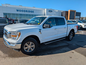 2023 Ford F 150 XLT