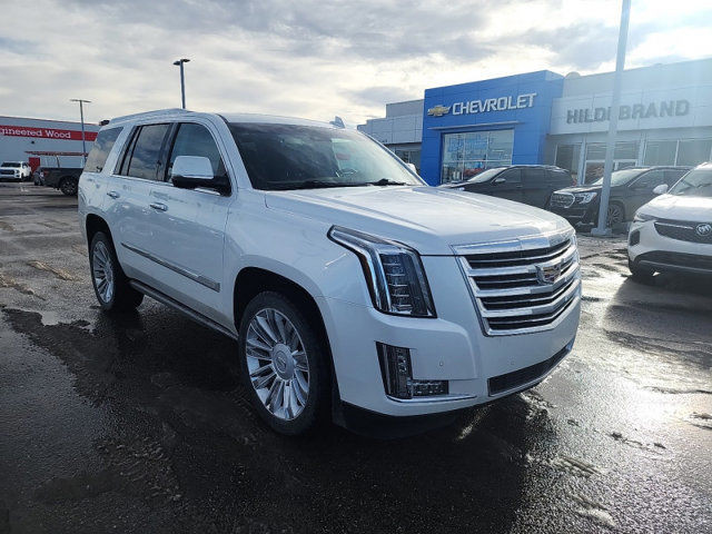2016 Cadillac Escalade Platinum | 3 DVD Screens |Fully Inspected in Cars & Trucks in Red Deer
