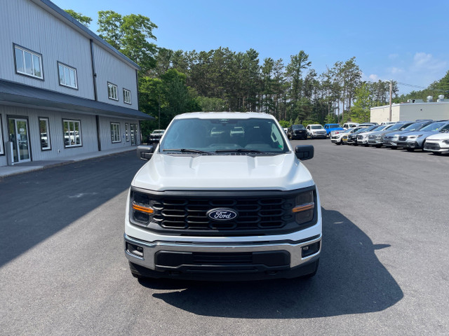 2024 Ford F-150 XL -Clean Carfax-Navigation- in Cars & Trucks in Annapolis Valley - Image 3
