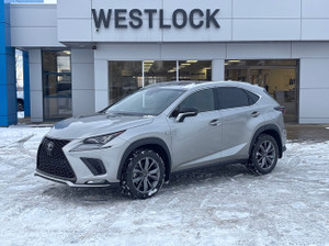 2020 Lexus NX 300 Other