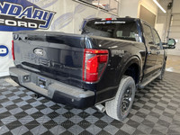 Welcome to the BRAND NEW 2025 FORD F-150 XLT , powered by a 3.5L V6 ECOBOOST ENGINE that's paired wi... (image 5)