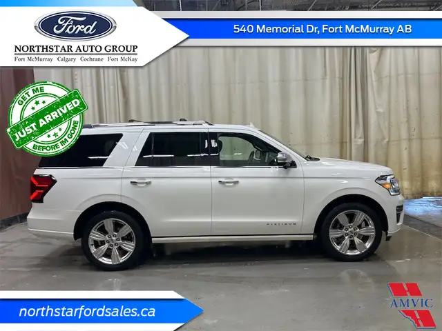 2022 Ford Expedition Platinum - Leather Seats in Cars & Trucks in Fort McMurray - Image 7