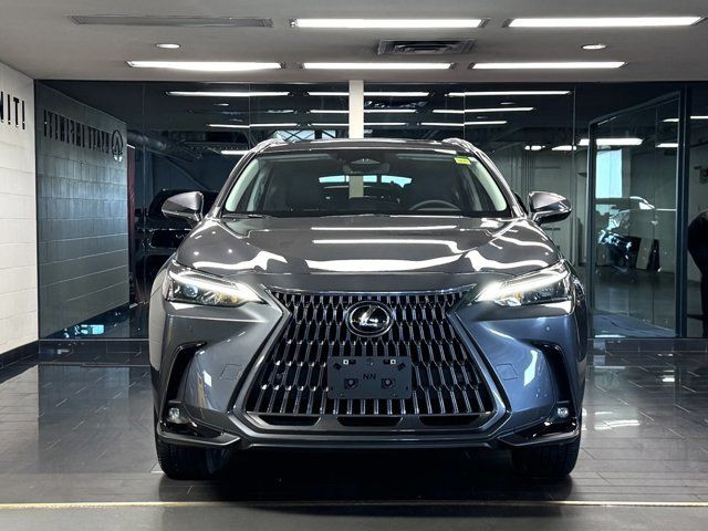 2024 Lexus NX NX 350 - Apple CarPlay | Cooled Seats | Seat in Cars & Trucks in Calgary - Image 2