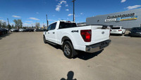 This Ford F-150 is equipped with: Cloth 40/Console/40 Front Seats, Radio: AM/FM SiriusXM w/360L, 12... (image 8)
