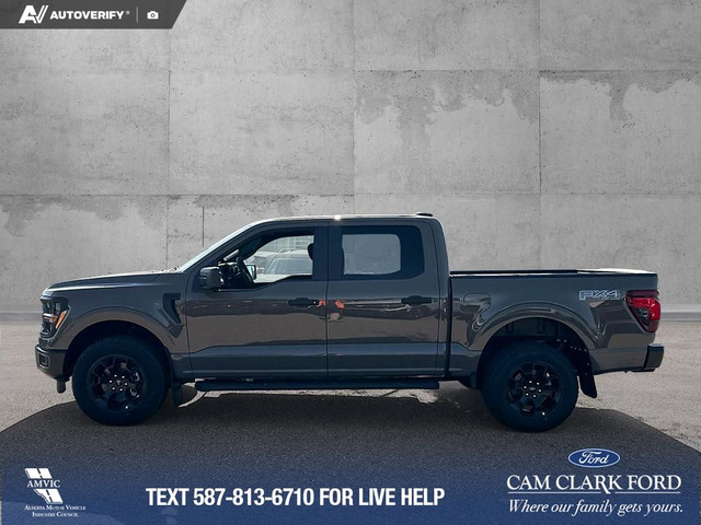 2025 Ford F-150 STX in Cars & Trucks in Red Deer - Image 4