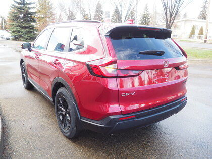 2024 Honda CR-V Sport AWD in Cars & Trucks in Edmonton - Image 3