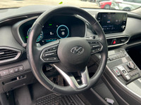 WAS: $30388 NOW: $29616 plus taxes and licensing feesLagoon Blue 4D Sport Utility I4 6-Speed Automat... (image 7)