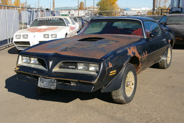 1977 Trans Am 400 Auto with Hurst T-Top Special Edition in Classic Cars in Edmonton