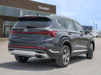 *Android Auto, Apple CarPlay, Lane Keep Assist, Collision Warning, Adaptive Cruise, Heated Steering... (image 5)