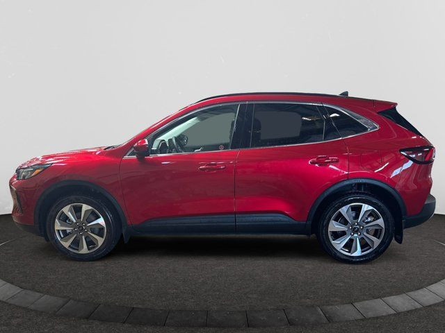 2025 Ford Escape Platinum in Cars & Trucks in Regina - Image 2
