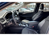 Clean Carfax Report | Ford Escape Plug In Hybrid | Touchscreen | Navigation | Android Auto & Apple C... (image 1)