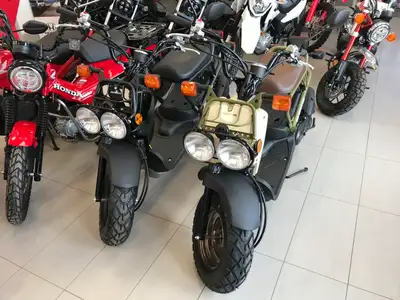 Nothing looks like a Ruckus scooter because there’s nothing quite like a Ruckus. Its small and nimbl...