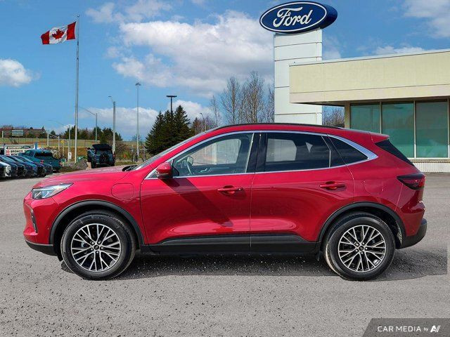 2024 Ford Escape PHEV in Cars & Trucks in Kitchener / Waterloo - Image 4