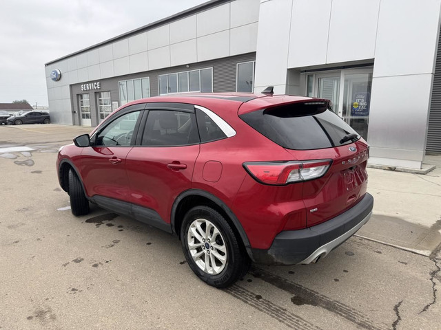 2020 Ford Escape SE in Cars & Trucks in Red Deer - Image 3