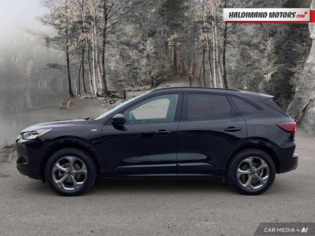 2024 Ford Escape ST-Line in Cars & Trucks in Hamilton - Image 2
