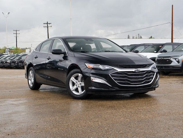 2024 Chevrolet Malibu LS in Cars & Trucks in Edmonton - Image 2