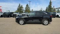 This Ford Escape is equipped with: Cloth Seats Trim, Radio: AM/FM Stereo w/SiriusXM, 8 Inch Touchscr... (image 5)