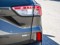 Experience versatility and confidence behind the wheel with the 2020 Ford Escape SEL, now available... (image 4)