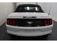 +Apple Carplay +Android Auto +Bluetooth +Caméra de recul / Backup camera +Régulateur de vitesse / Cr... (image 6)