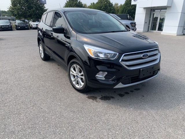 2019 Ford Escape SE FWD - Heated Seats - Android Auto in Cars & Trucks in Kawartha Lakes - Image 3